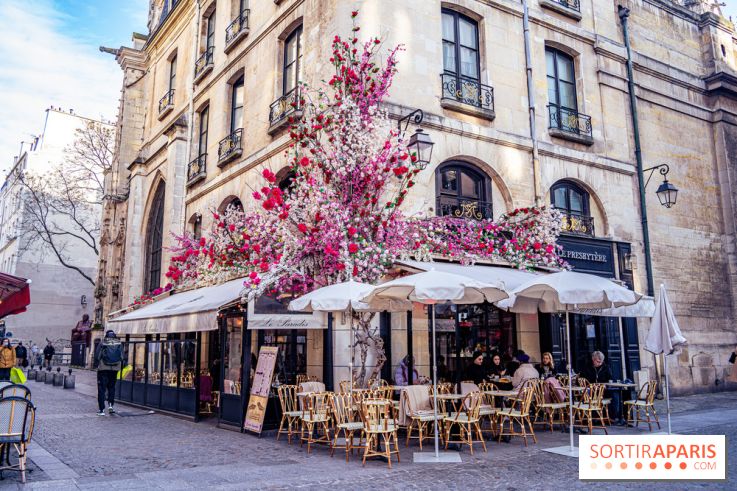 Les cafés fleuris de Paris