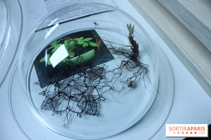 Futurotextiles 3 à la Cité des Sciences : fraisier