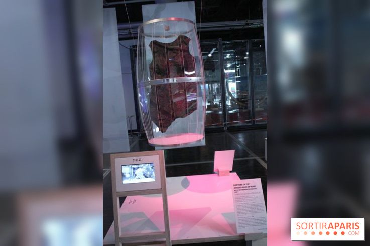 Futurotextiles 3 à la Cité des Sciences : marc de vin