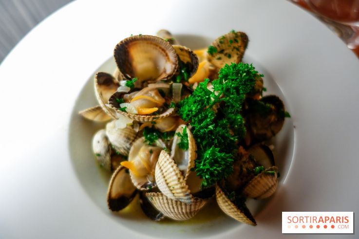 Les Petits Bateaux à Paris, nos photos 