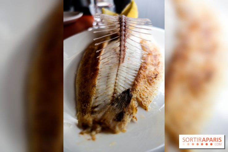 Les Petits Bateaux à Paris, nos photos 