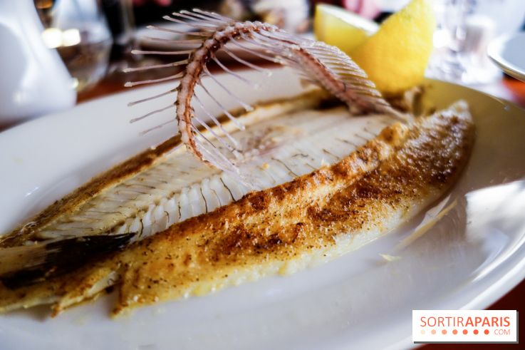 Les Petits Bateaux à Paris, nos photos 