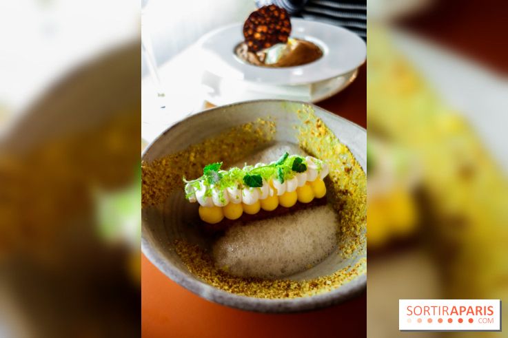 Les Petits Bateaux à Paris, nos photos 