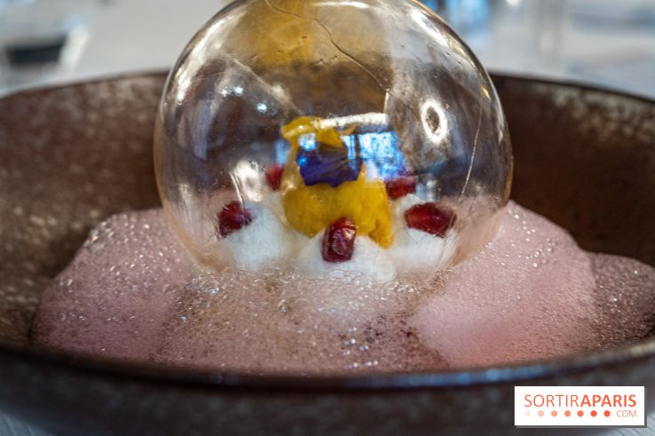 L'Axel, le restaurant étoilé de Fontainebleau, les photos