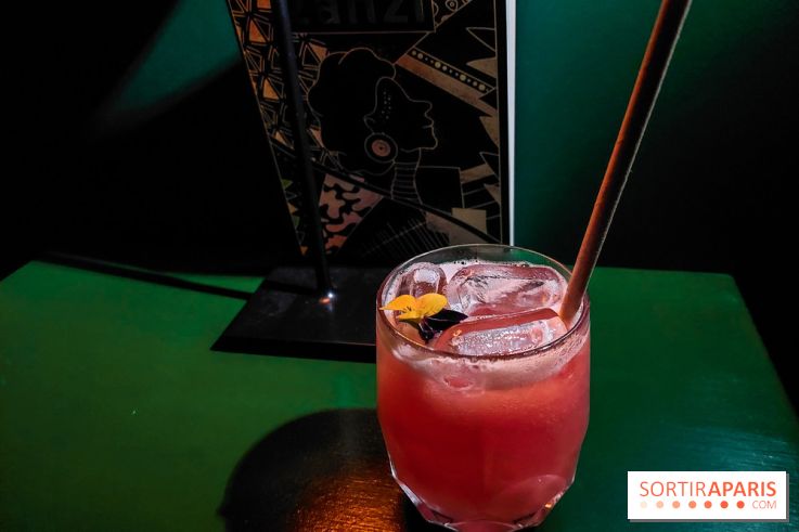 Zanzi : bar à cocktails à Paris, nos photos