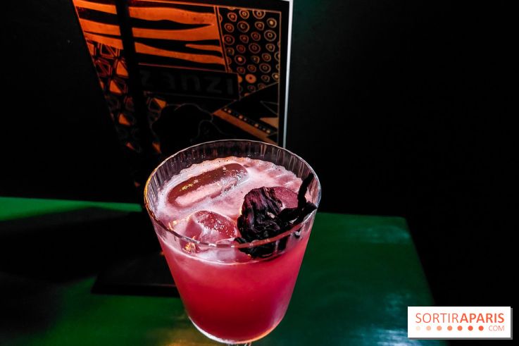 Zanzi : bar à cocktails à Paris, nos photos