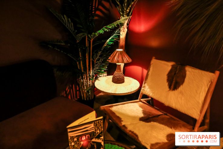 Zanzi : bar à cocktails à Paris, nos photos