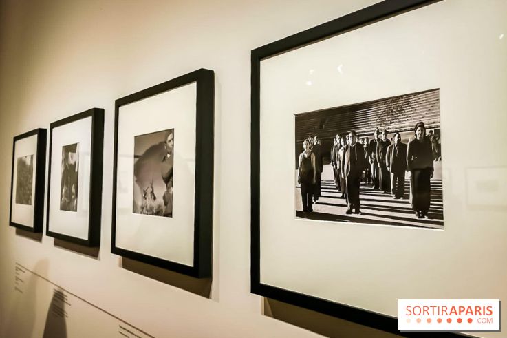Femmes photographes de guerre, l'exposition du musée de la Libération - nos photos