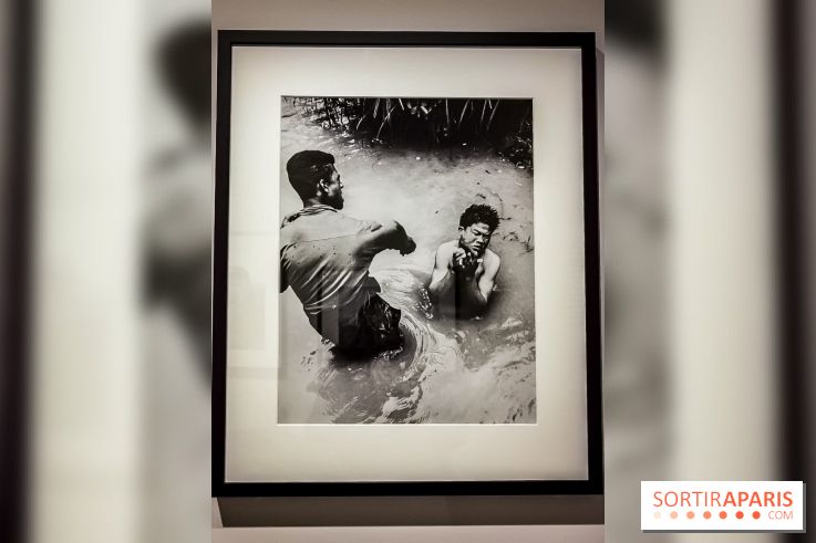 Femmes photographes de guerre, l'exposition du musée de la Libération - nos photos