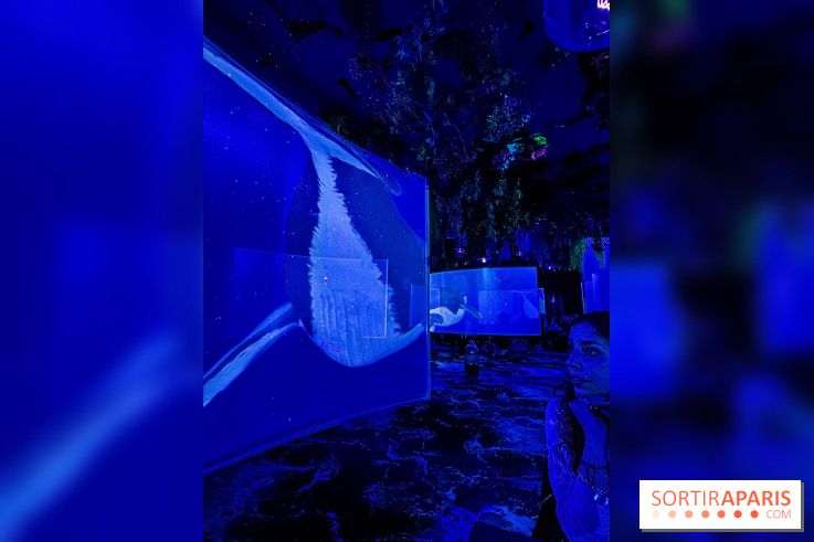 Ephemera, le premier restaurant immersif à Paris