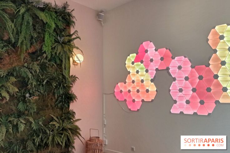 Bloom, le studio de méditation moderne pour se détendre au cœur de Paris