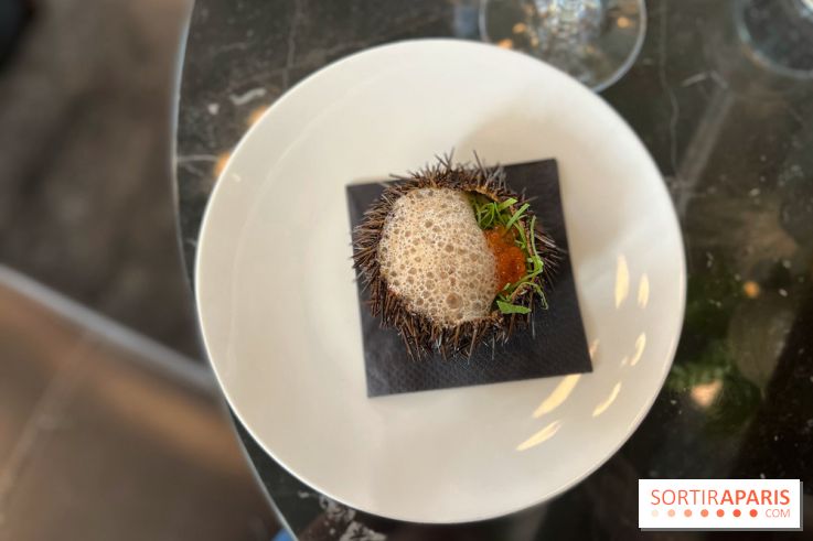 Mordu - Marché Saint-Germain