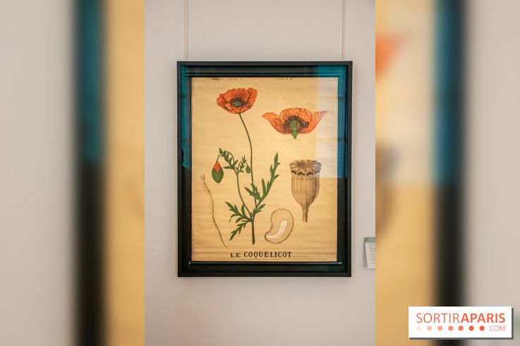 Delacroix et la nature, nos photos de l'exposition au musée Delacroix