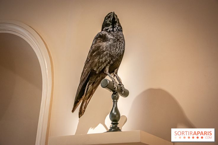 Delacroix et la nature, nos photos de l'exposition au musée Delacroix