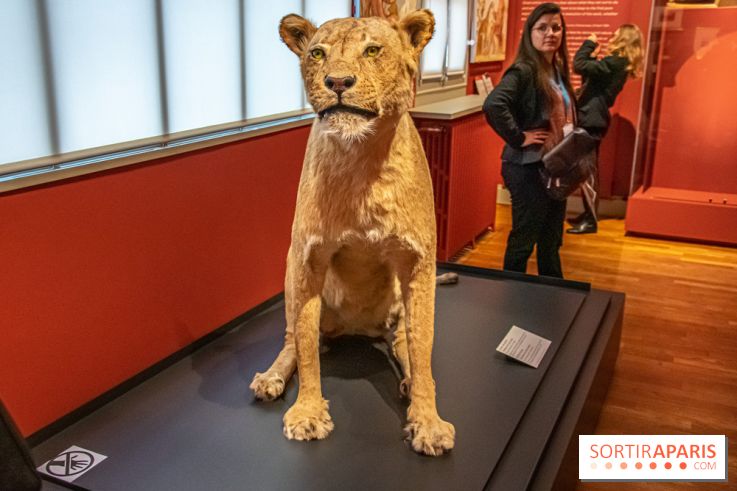 Delacroix et la nature, nos photos de l'exposition au musée Delacroix