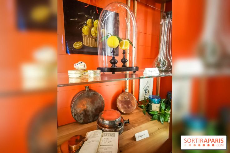 Le Musée du Parfum Fragonard : un trésor méconnu à deux pas du Palais Garnier