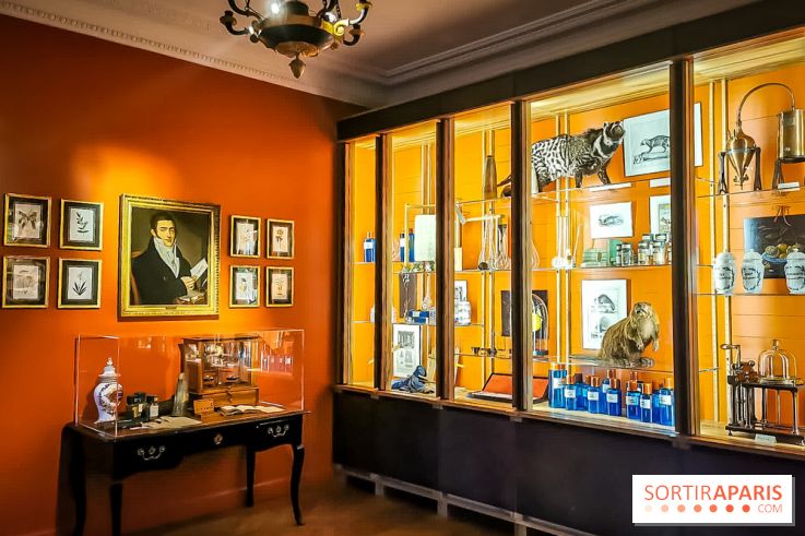 Le Musée du Parfum Fragonard : un trésor méconnu à deux pas du Palais Garnier