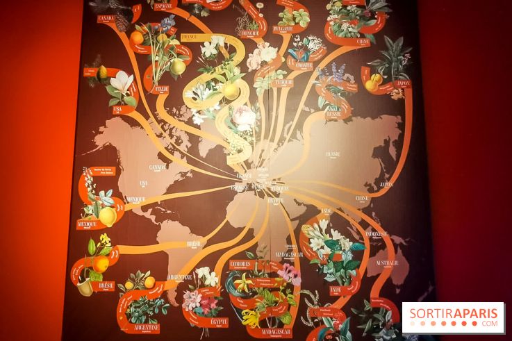 Le Musée du Parfum Fragonard : un trésor méconnu à deux pas du Palais Garnier