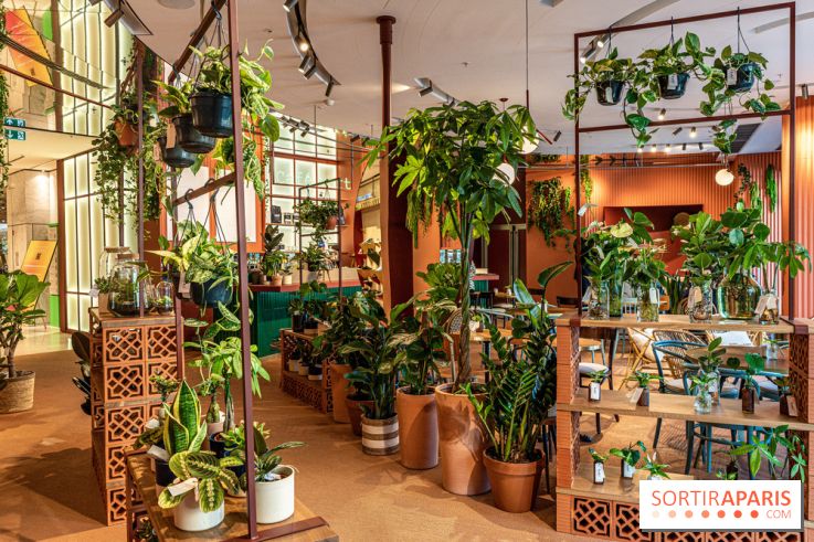 Le Café Vert du Printemps Haussmann 