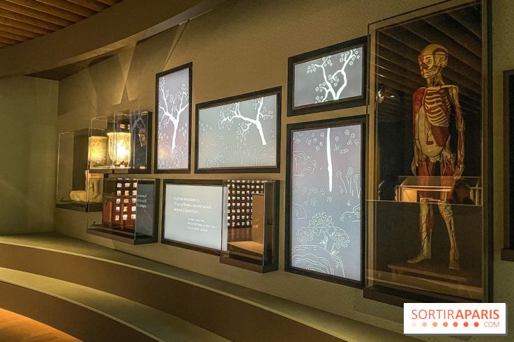 Le nouveau Musée Albert Kahn se dévoile 