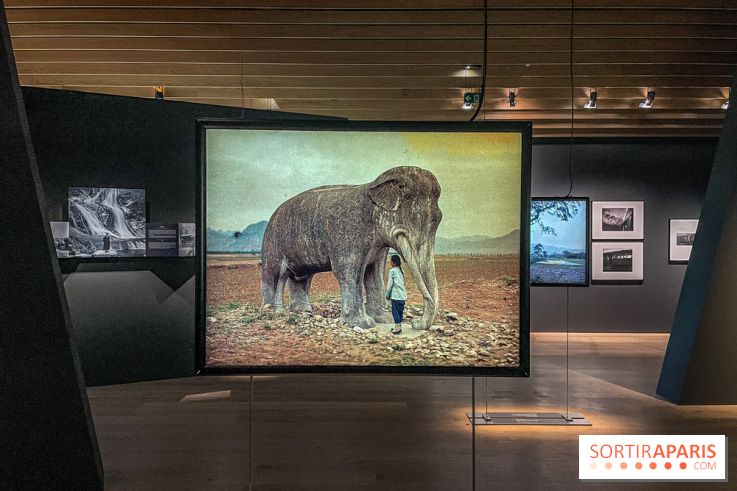 Le nouveau Musée Albert Kahn se dévoile 