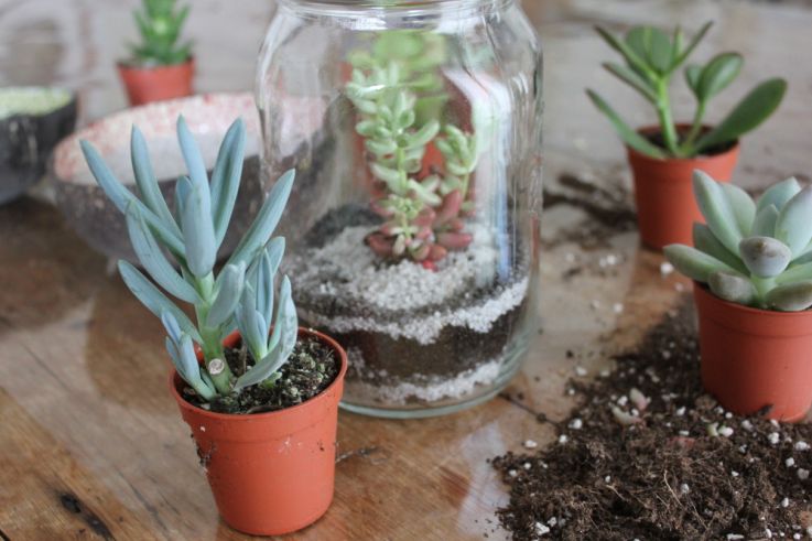 La nature s’invite à Bercy Village pour les vacances scolaires ! 202204