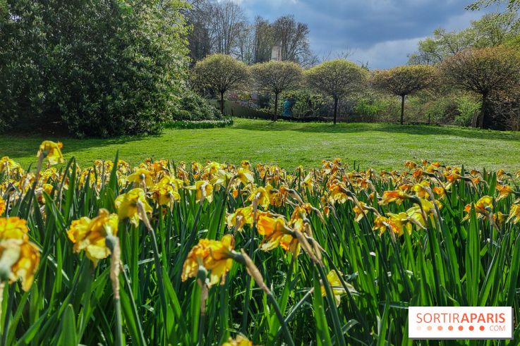 Le Vieux Pays à Goussainville, nos photos