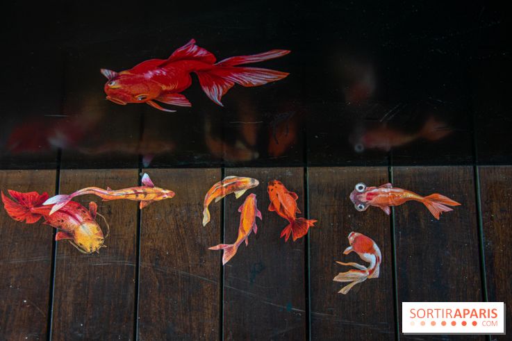 Exposition à Fluctuart, Plongée en eaux troubles - nos photos