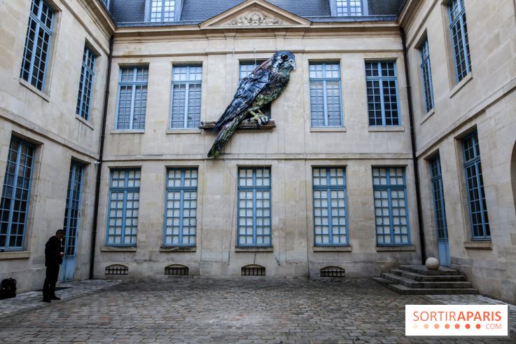 Incursions sauvages, nos photos