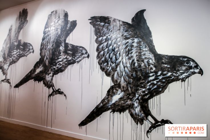 Incursions sauvages, nos photos