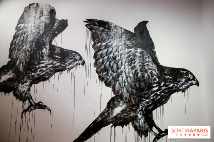 Incursions sauvages, nos photos