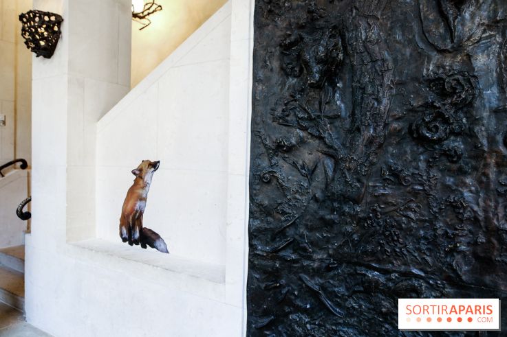 Incursions sauvages, nos photos