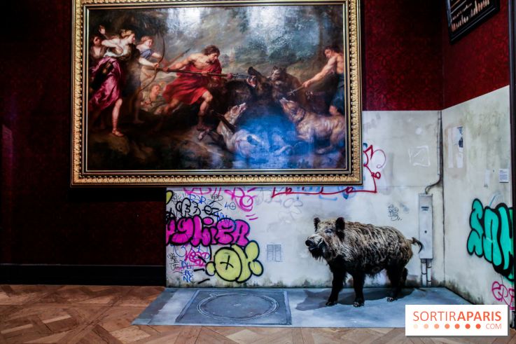 Incursions sauvages, nos photos