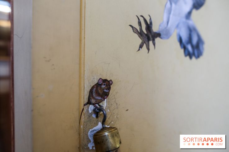 Incursions sauvages, nos photos