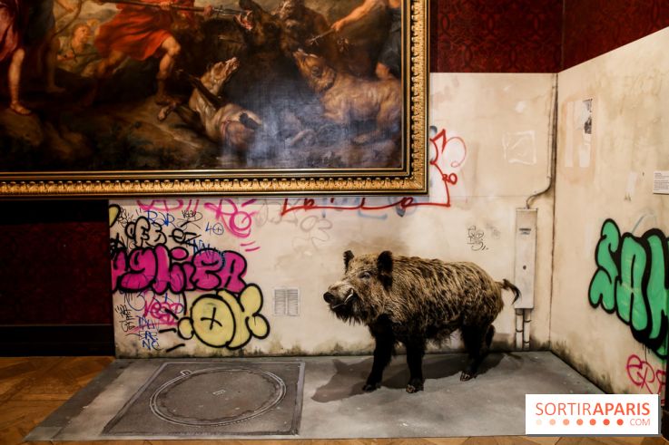 Incursions sauvages, nos photos