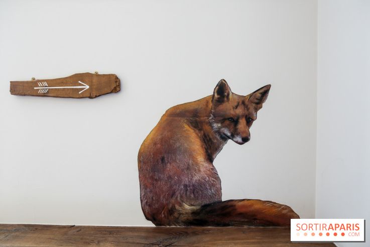 Incursions sauvages, nos photos