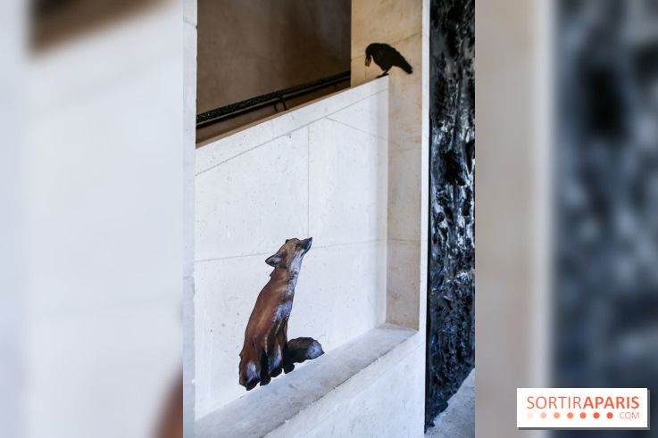 Incursions sauvages, nos photos