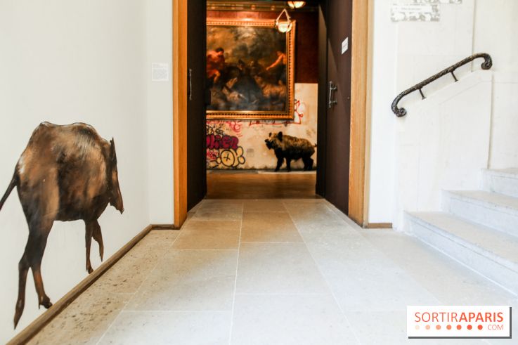 Incursions sauvages, nos photos