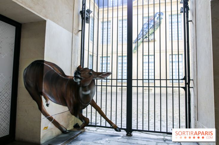 Incursions sauvages, nos photos