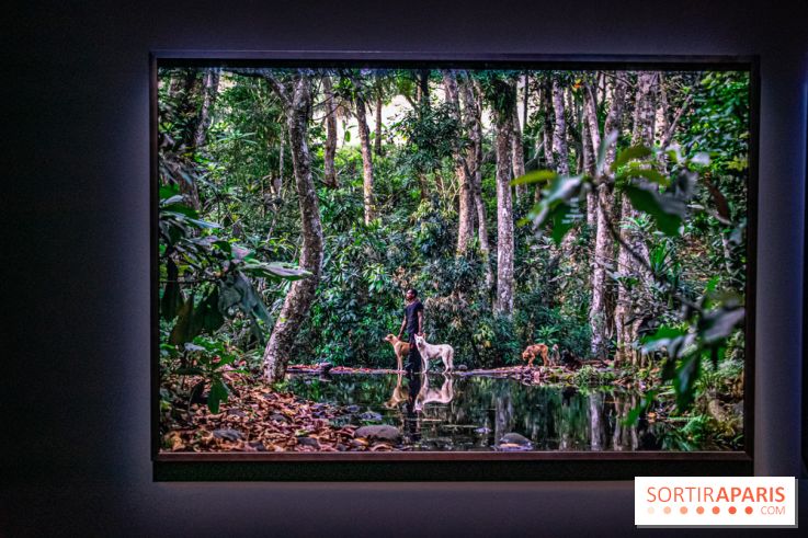 Saison Réclamer la terre au Palais de Tokyo - nos photos