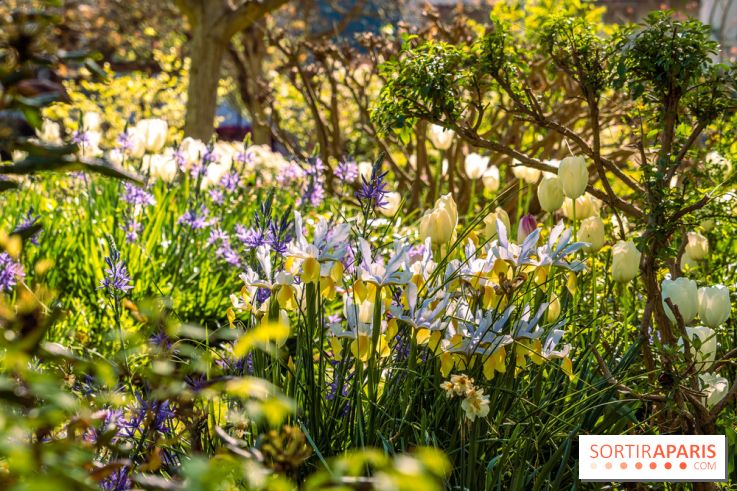 Photos : le Parc des Impressionnistes de Rueil-Malmaison