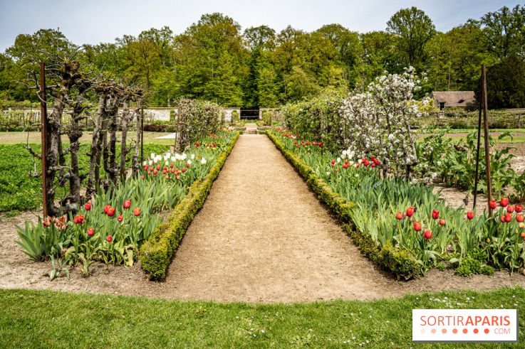 Le Château de Saint-Jean de Beauregard et son Jardin remarquable