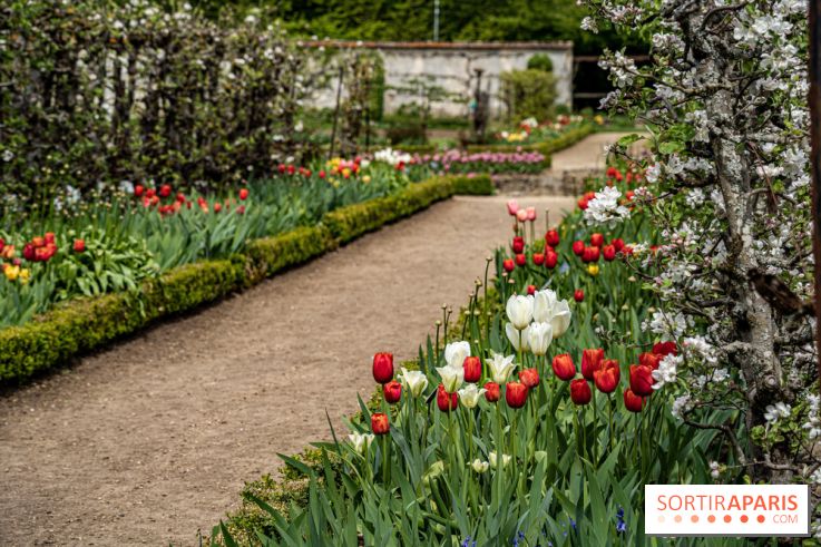 Le Château de Saint-Jean de Beauregard et son Jardin remarquable