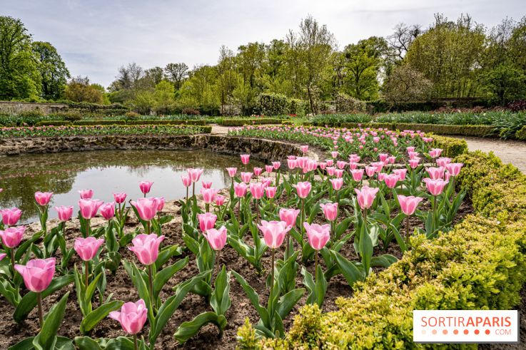 Le Château de Saint-Jean de Beauregard et son Jardin remarquable