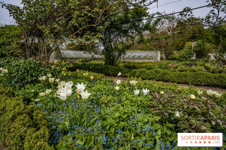 Le Château de Saint-Jean de Beauregard et son Jardin remarquable