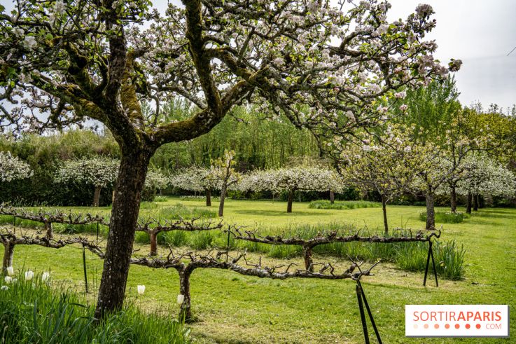 Le Château de Saint-Jean de Beauregard et son Jardin remarquable