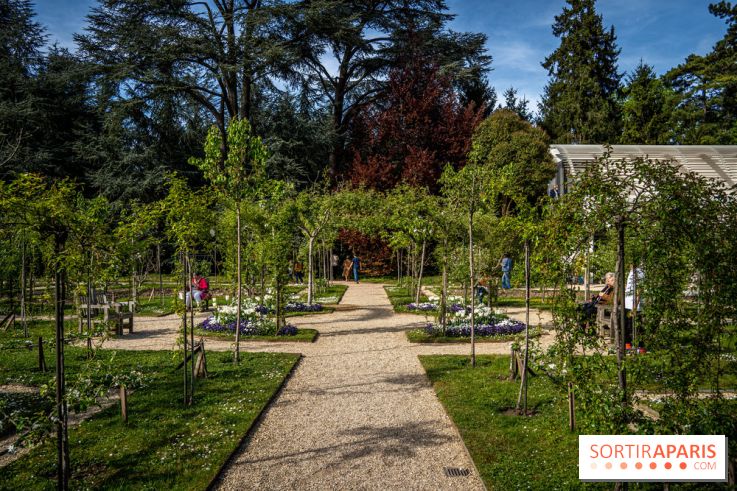 Les jardins du Musée Albert Kahn, nos photos 