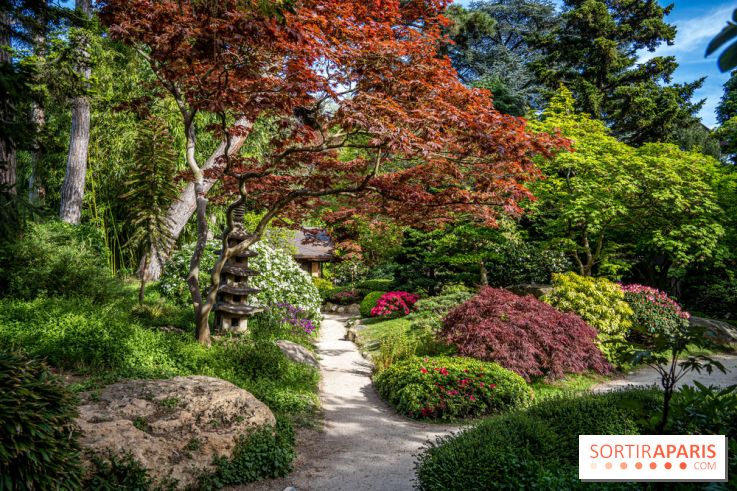Les jardins du Musée Albert Kahn, nos photos 