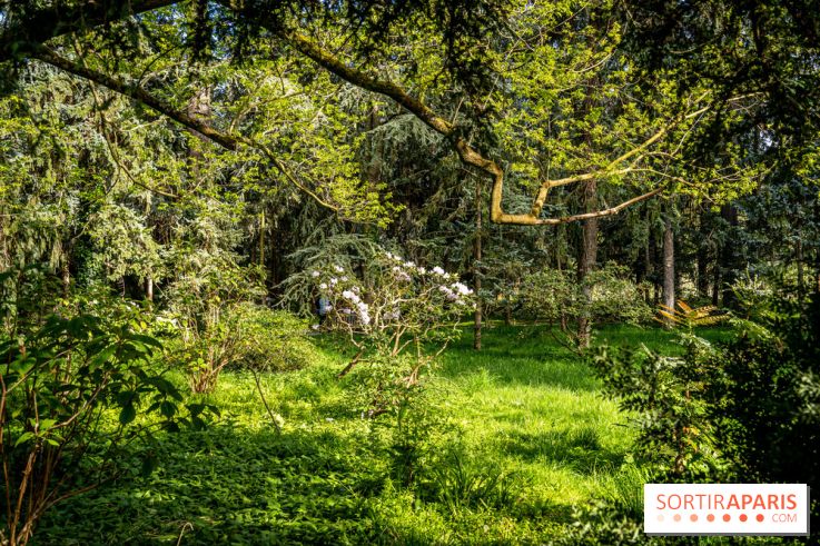 Les jardins du Musée Albert Kahn, nos photos 