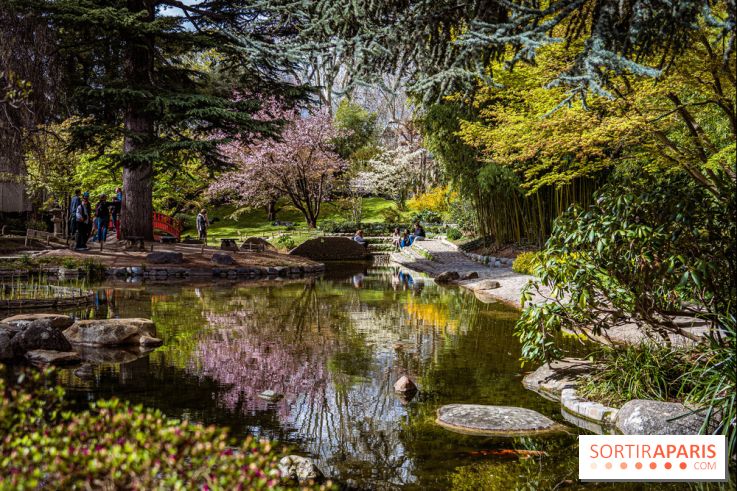 Les jardins du Musée Albert Kahn, nos photos